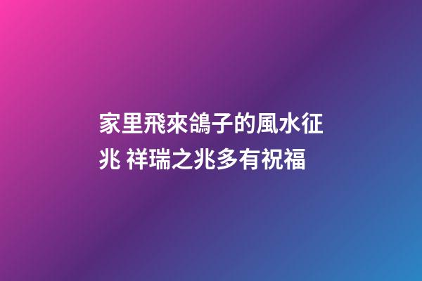 家里飛來鴿子的風水征兆 祥瑞之兆多有祝福